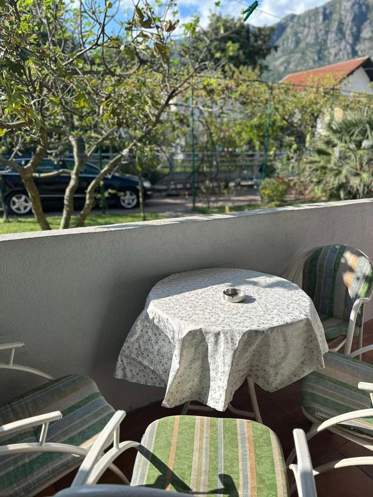 Apartmani Zelenika 헤르섹 외부 사진