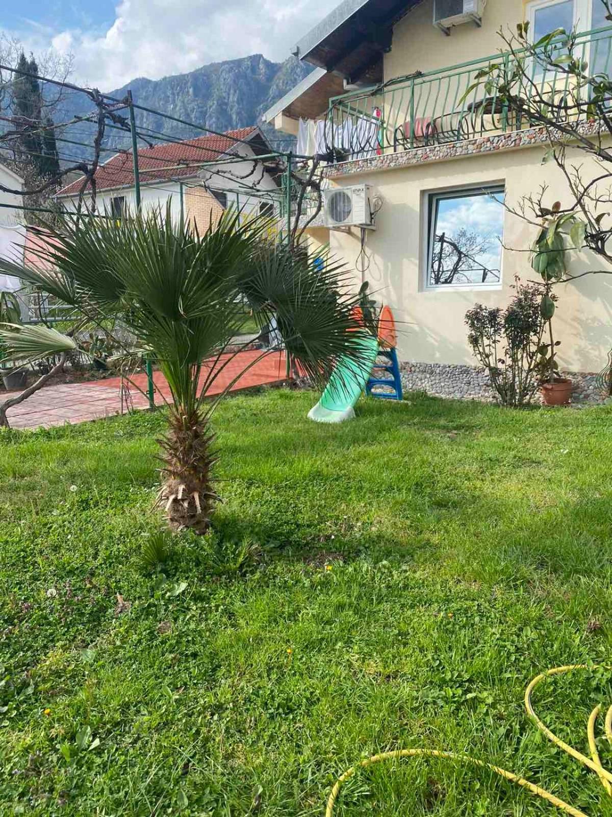Apartmani Zelenika 헤르섹 객실 사진